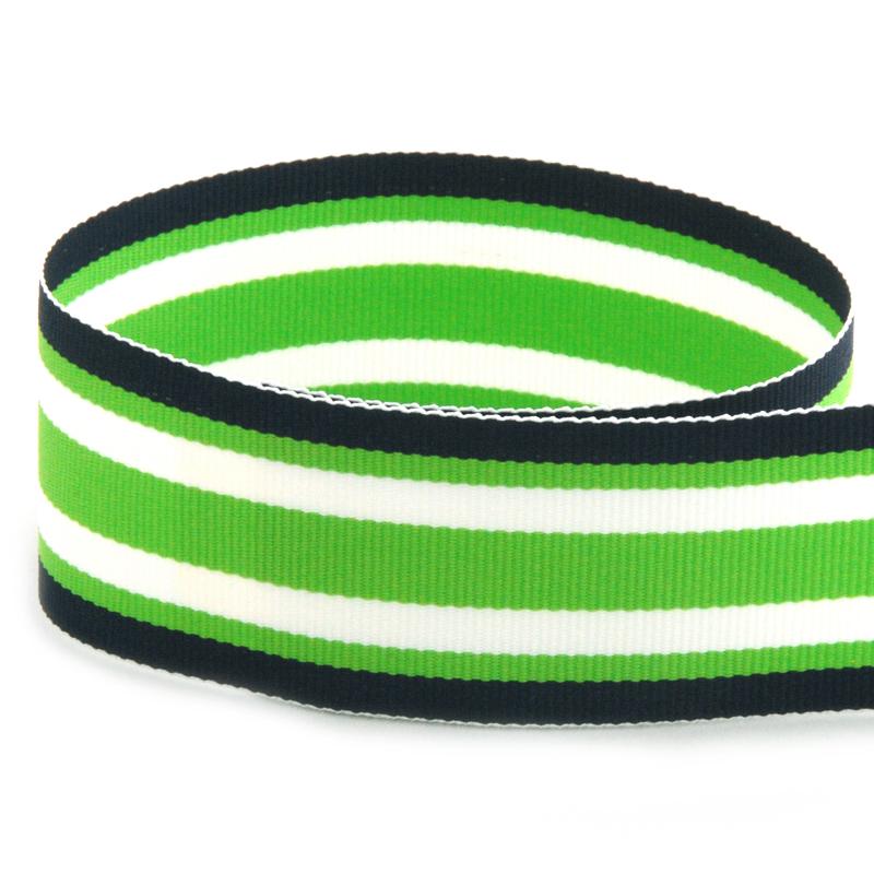 Navy Lime Surf Board